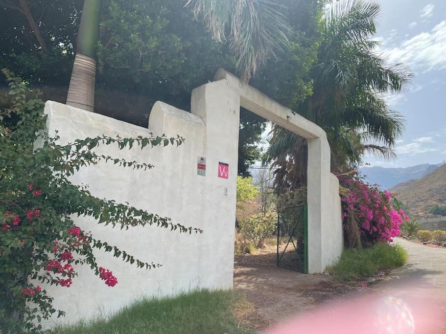 La Casa Del Molino De Viento Villa Agaete  Eksteriør bilde