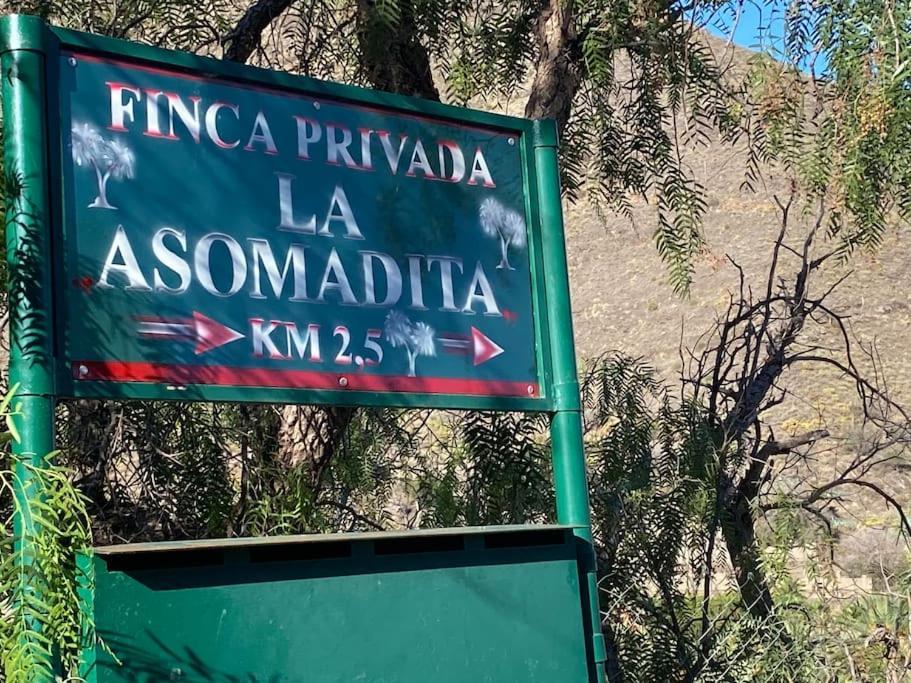La Casa Del Molino De Viento Villa Agaete  Eksteriør bilde